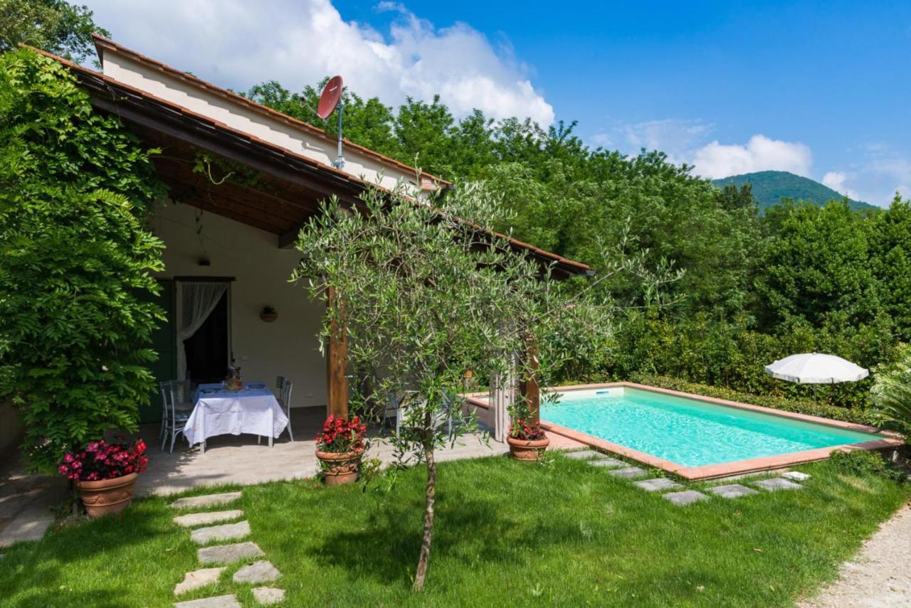 Villa Con Piscina Esclusiva Nel Verde Lucca Kültér fotó